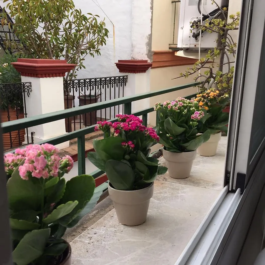 Apartamento Plaza Salvador Apartment Seville