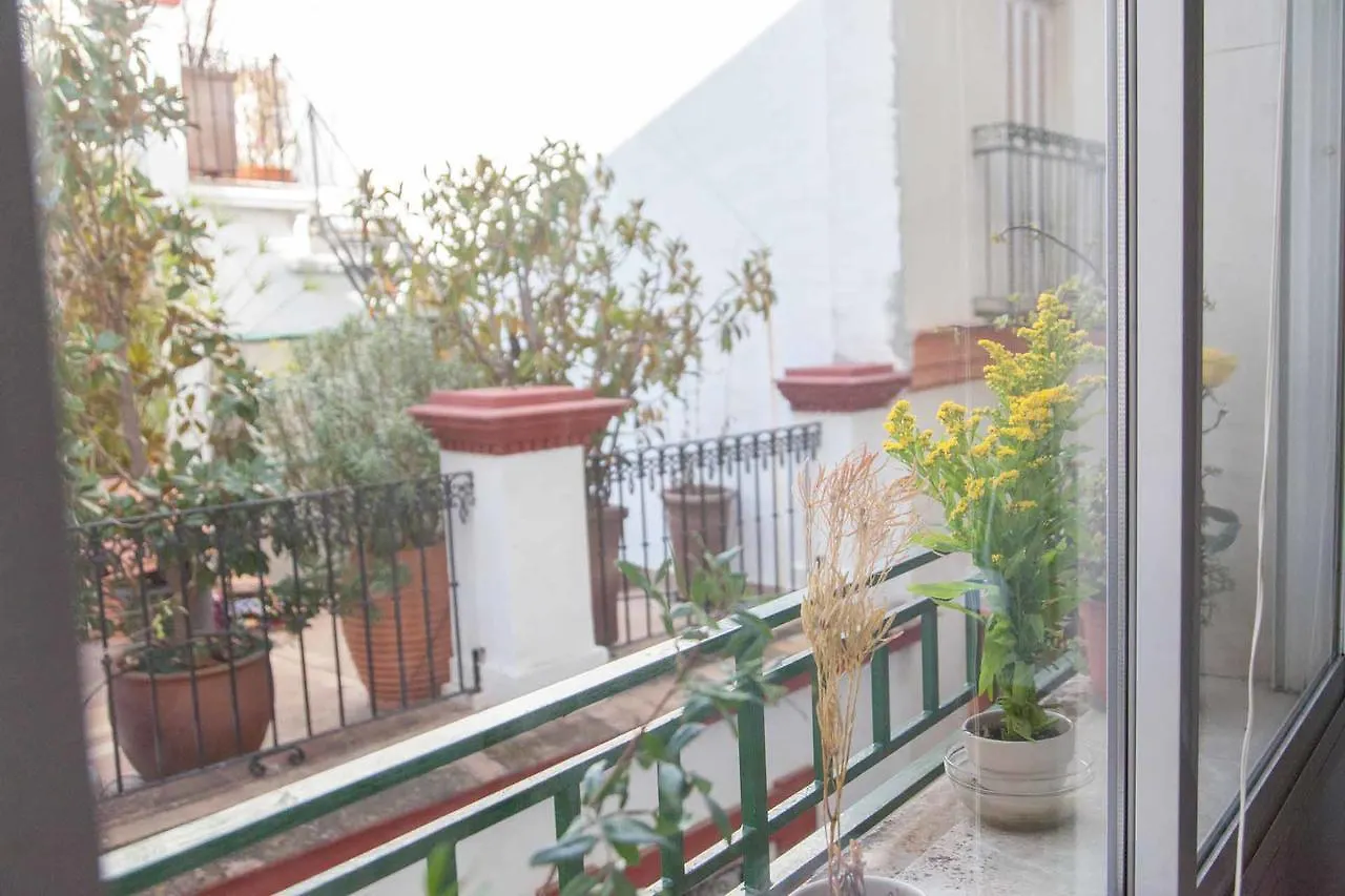 Apartamento Plaza Salvador Apartment Seville 0*,