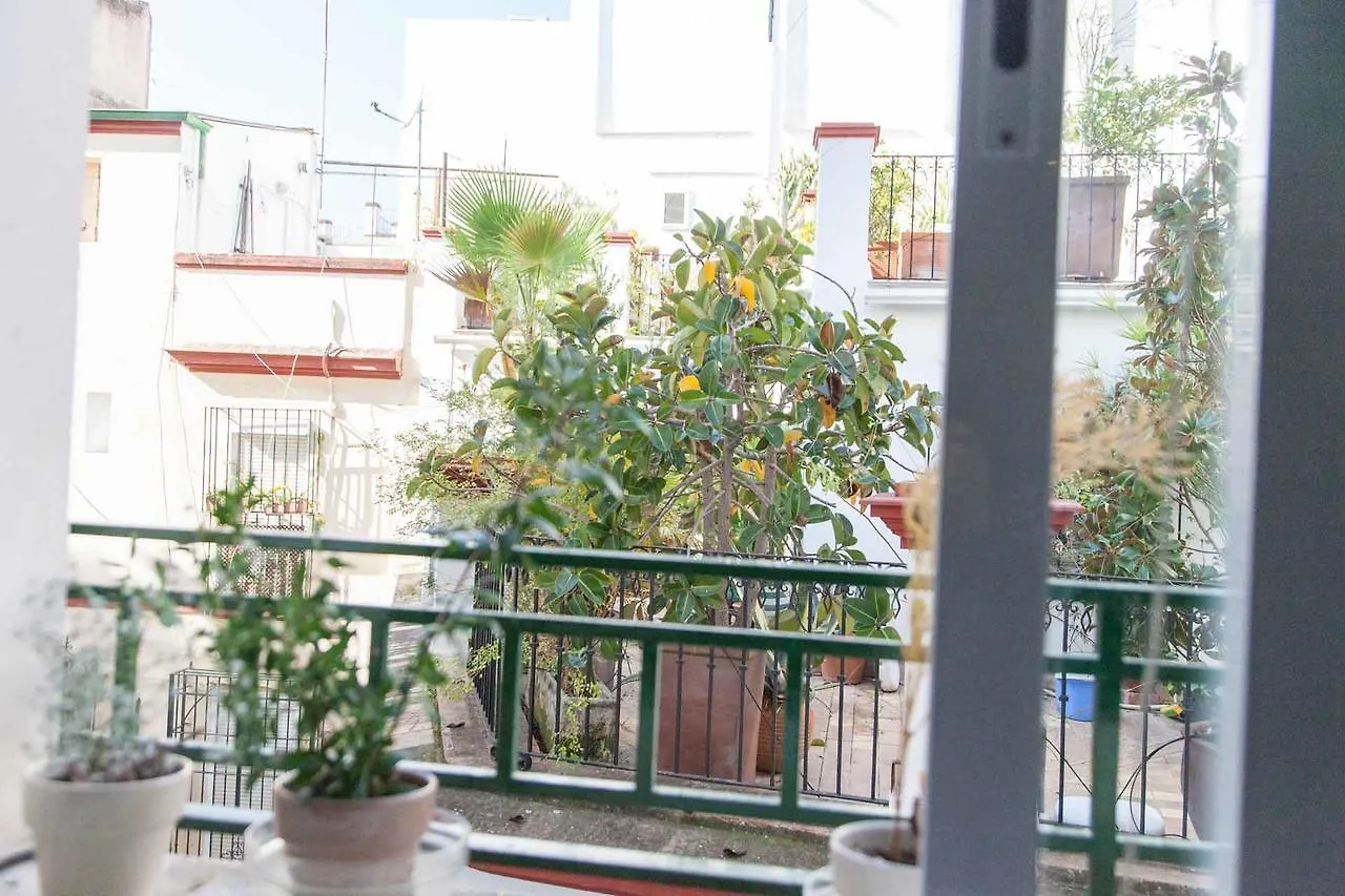 Apartamento Plaza Salvador Apartment Seville