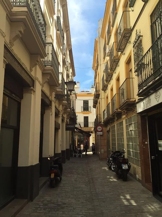 Apartamento Plaza Salvador Apartment Seville